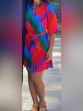 Bright, fun Multi-Stripe Pleated Mini dress